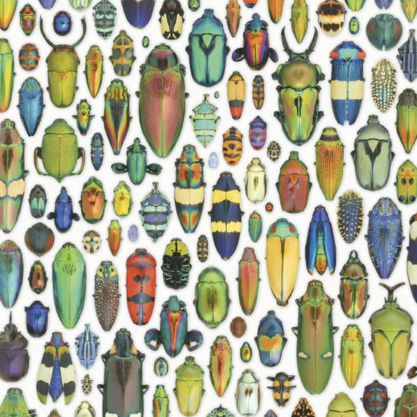 Exquisite Creatures: Insect Art by Christopher Marley 1000 Piece