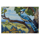Blue jay bird perched on a branch with a scenic background