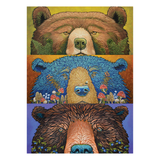 Three artistic depictions of bears with colorful backgrounds