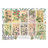 Cobble Hill - Botanicals By Verneuil 1000 Piece Puzzle - The Puzzle Nerds  