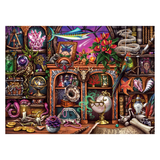 Colorful and detailed illustration of a magical bookshelf with various mystical objects.