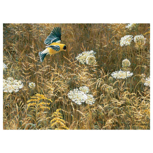 Cobble Hill - Queen Anne's Lace And American Goldfinch 1000 Piece Puzzle - The Puzzle Nerds  
