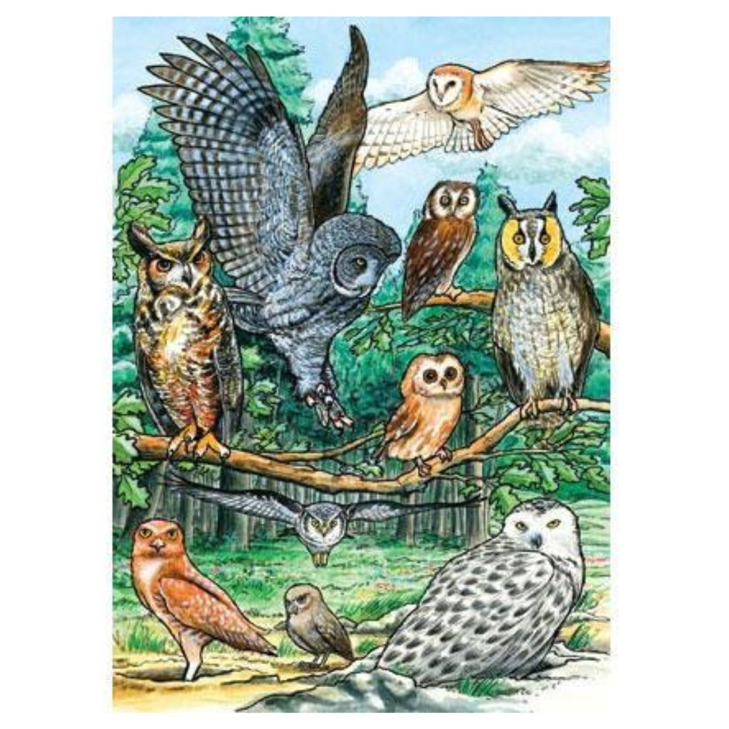 North American Owls 35 Piece Tray Puzzle