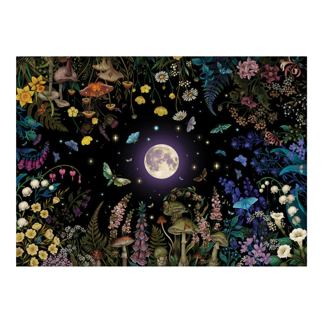 Framed artwork of a night sky with moon, flowers, and butterflies on a black background.