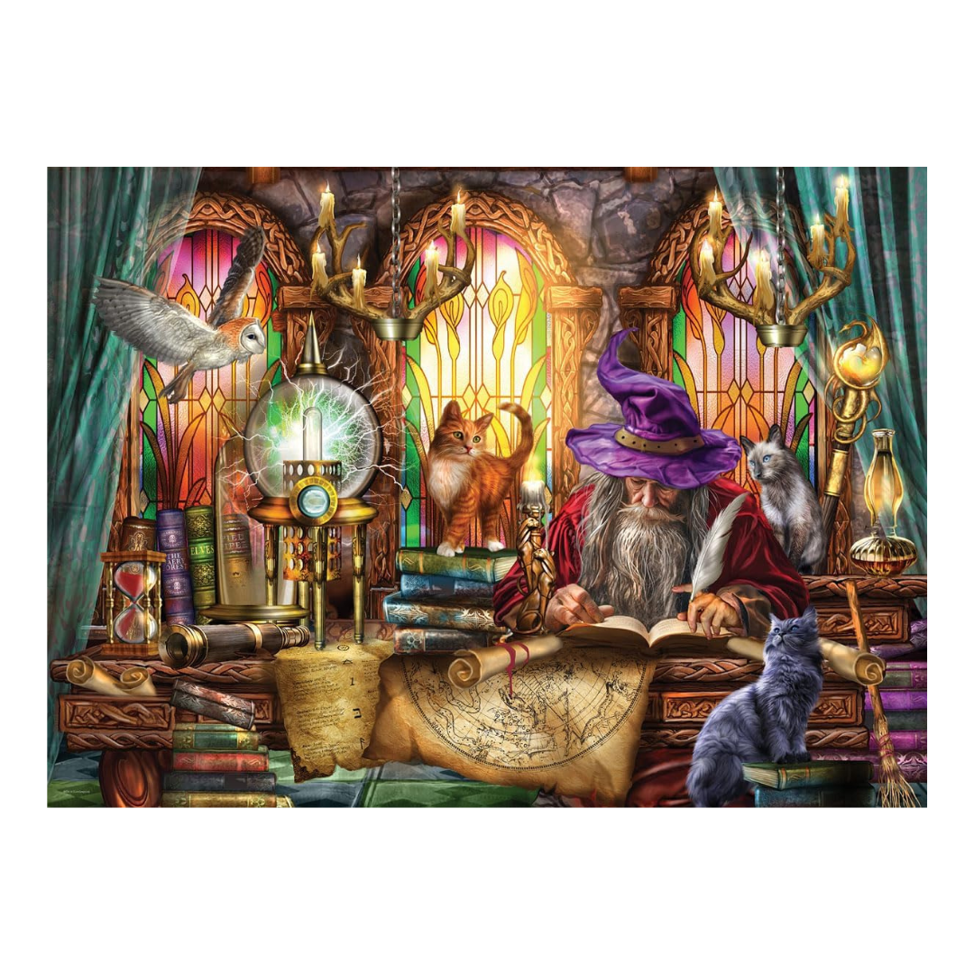 Wizard in a magical room with books, potions, and mystical objects