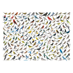 Eurographics - The World Of Birds 1000 Piece Puzzle - The Puzzle Nerds