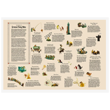 Poster with fairy tale illustrations and text on a beige background