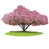 Madd Capp Puzzles - I Am Cherry Blossom - 1000 Piece Tree Shaped Jigsaw Puzzle - The Puzzle Nerds 