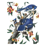 Illustration of blue Jays on a branch with flowers