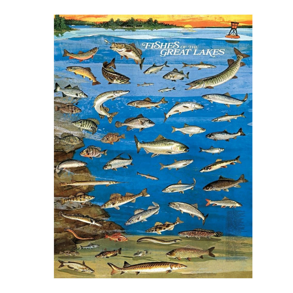 New York Puzzle Company - Fishes Of The Great Lakes 1000 Piece Puzzle - The Puzzle Nerds 