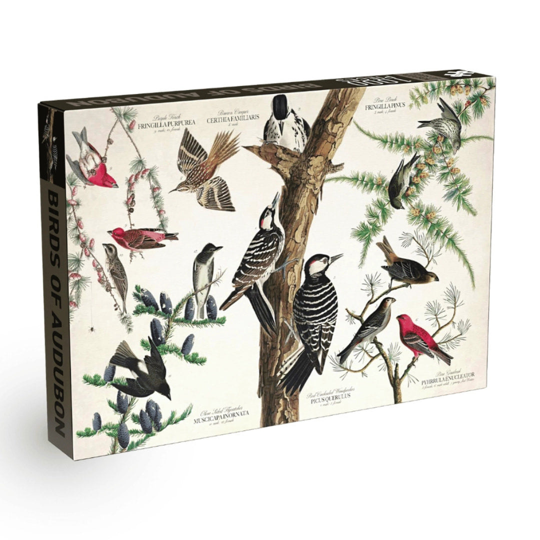 Penny Puzzles - Birds of Audubon 1000 Piece Vintage Jigsaw Puzzle - The Puzzle Nerds 