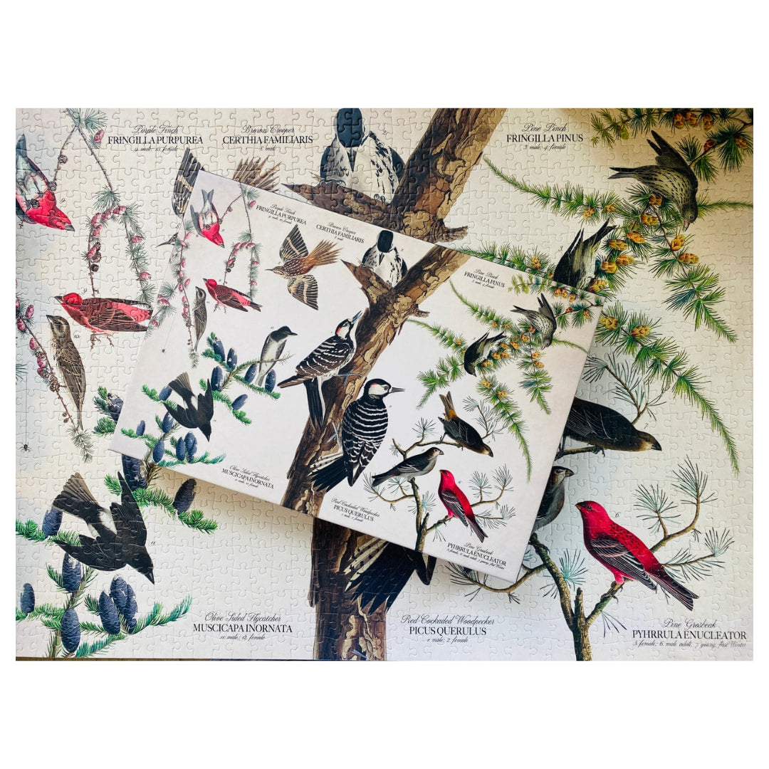 Penny Puzzles - Birds of Audubon 1000 Piece Vintage Jigsaw Puzzle - The Puzzle Nerds 