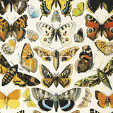 Piatnik Puzzles - Butterflies And Moths 1000 Piece Puzzle - The Puzzle Nerds  