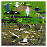 A square art print featuring a stylized, collage-like illustration of birds, fish, reeds, and boats in layered horizontal bands. The composition uses multiple colors including green, blue, white, black, yellow, and brown, with a textured, quilt-like visual style.