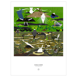 A framed-style art print featuring an illustrated marsh and water scene with birds, reeds, boats, and fish, with the text 'CHARLEY HARPER' and 'THE EVANGELISTS' below the artwork on a white background.