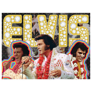 Prime 3D Puzzles - Elvis 3D2D 500 Piece Double-Sided Puzzle - The Puzzle Nerds  