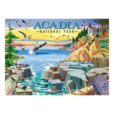 A colorful illustrated poster or print of Acadia National Park, showing rocky coastline, blue water, flying seagulls, puffins, a lighthouse, and large teal text reading 'ACADIA NATIONAL PARK' across the top.