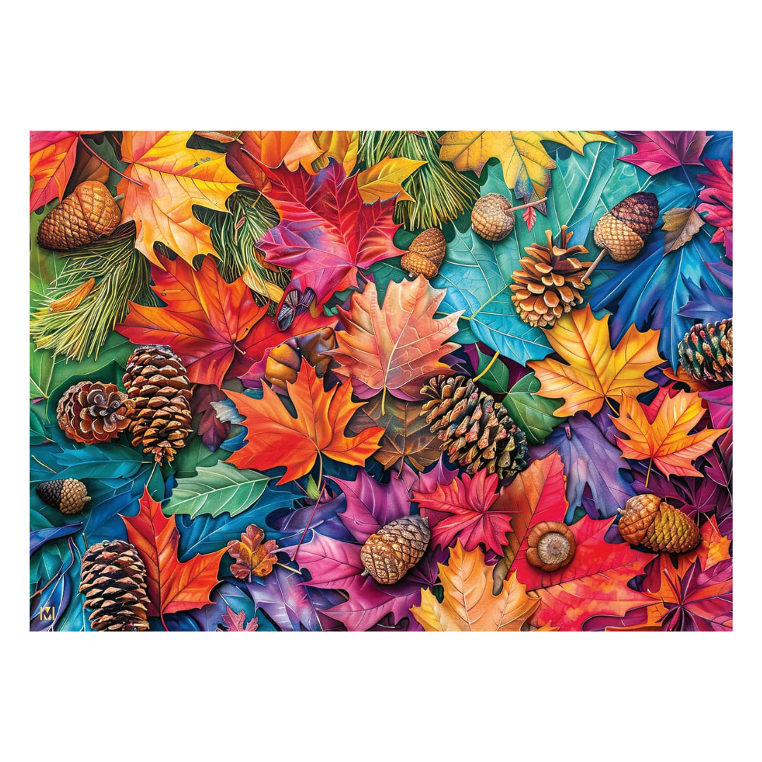 Colorful autumn leaves and pinecones on a white background