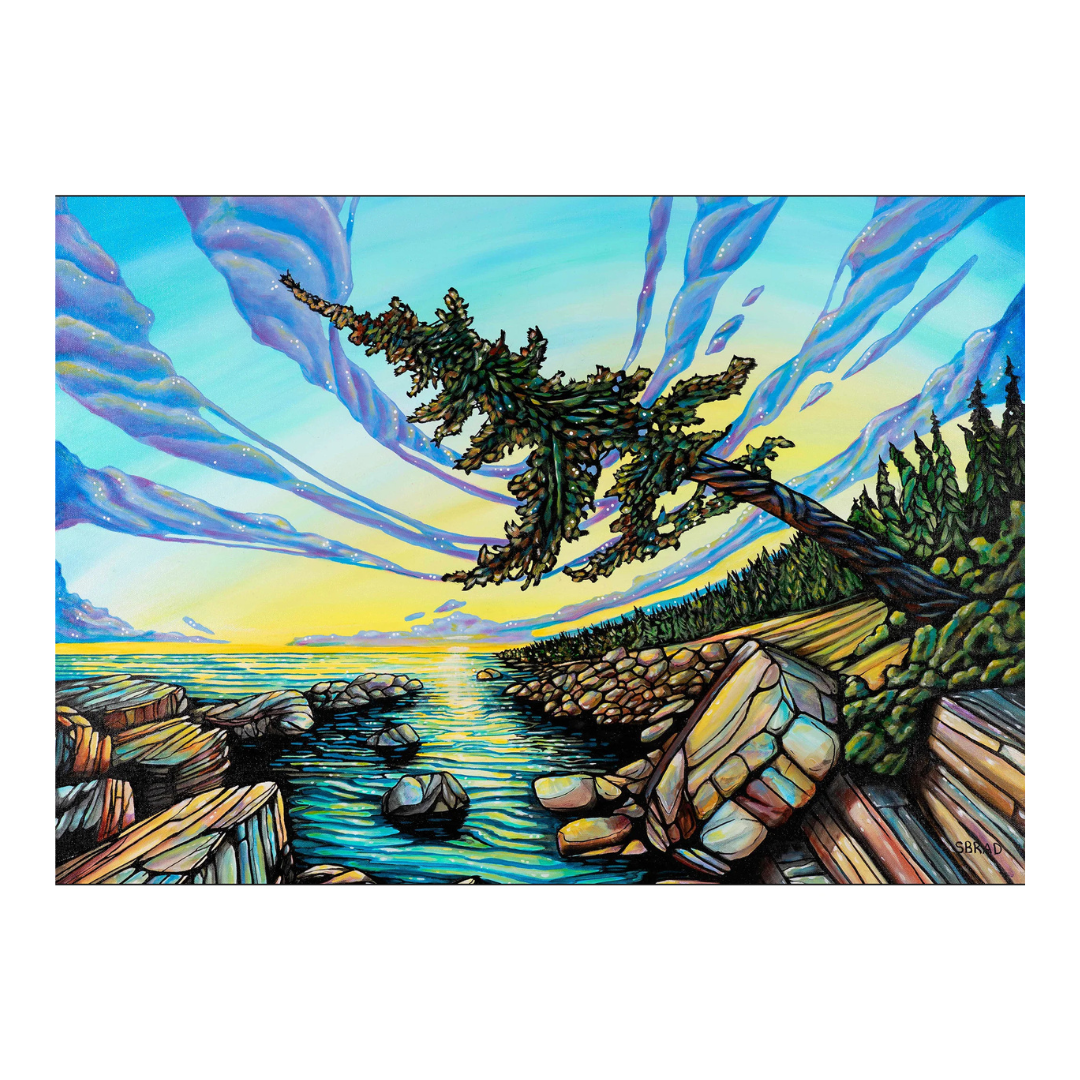 Colorful artwork of a coastal scene with trees, rocks, and water.