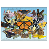 A square art print titled "Butterflies of Canada" featuring a dense collage of illustrated butterflies and moths in bright colors on a light blue background, with a white border around the print.