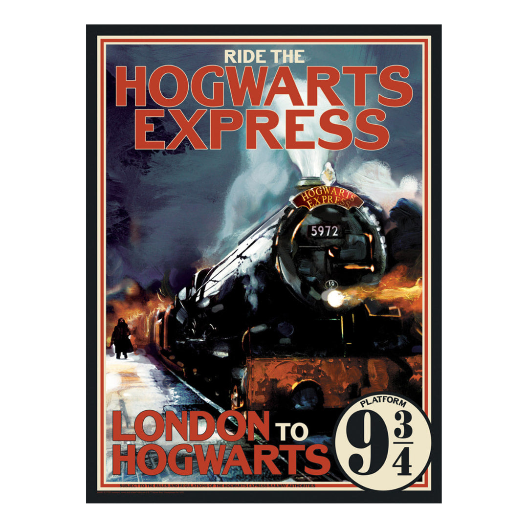 Aquarius - Harry Potter Hogwarts Express 1000 Piece Puzzle - The Puzzle Nerds 