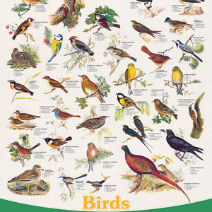 Eurographics - Birds 1000 Piece Puzzle - The Puzzle Nerds