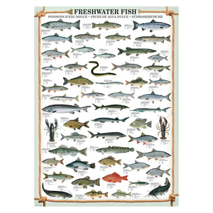 Eurographics - Freshwater Fish 1000 Piece Puzzle - The Puzzle Nerds