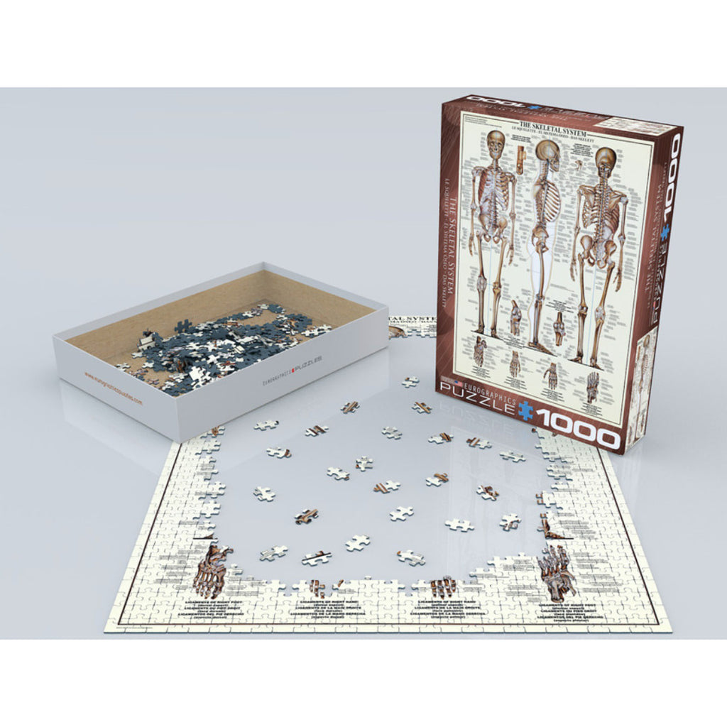 The Skeletal System 1000 Piece Puzzle – The Puzzle Nerds