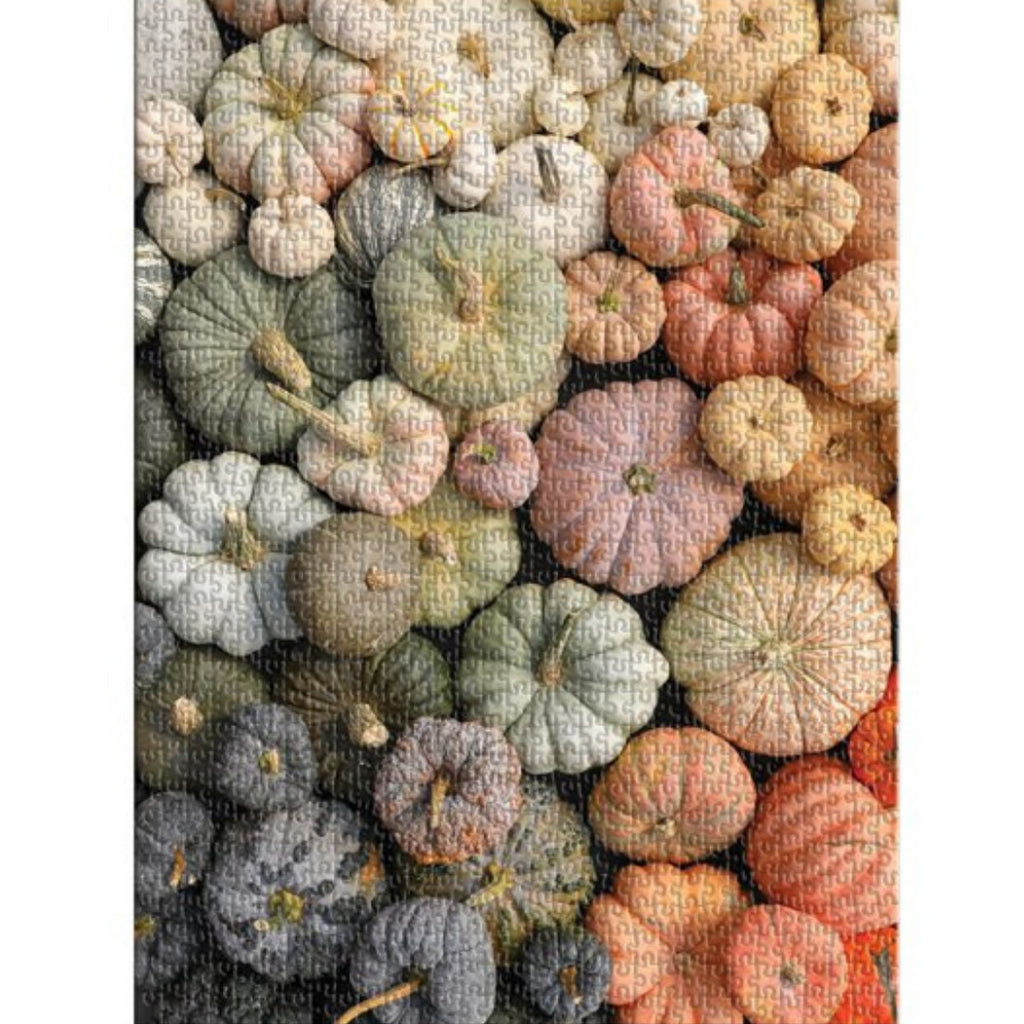 Galison  - Heirloom Pumpkins 1000 Piece Puzzle In Square Box  - The Puzzle Nerds