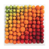 Genuine Fred  - Salmonberries 500 Piece Puzzle - The Puzzle Nerds