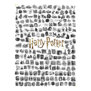 New York Puzzle Company - Harry Potter Chapter Art 1000 Piece Puzzle - The Puzzle Nerds