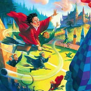 New York Puzzle Company - Harry Potter Quidditch 500 Piece Puzzle - The Puzzle Nerds