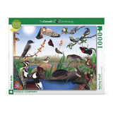 New York Puzzle Company - Spring Trail 1000 Piece Puzzle - The Puzzle Nerds