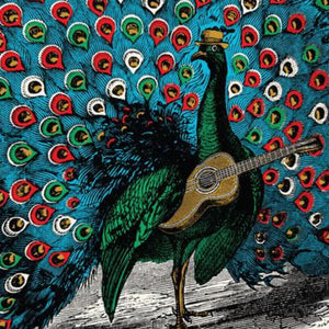 Peacock Strummer 500 Piece Puzzle - The Puzzle Nerds