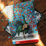 Peacock Strummer 500 Piece Puzzle - The Puzzle Nerds