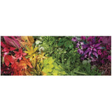Plant Life 1000 Piece Panoramic Puzzle - The Puzzle Nerds
