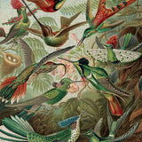 Pomegranate - Hummingbirds by Ernst Haeckel 300 Piece Puzzle - The Puzzle Nerds 