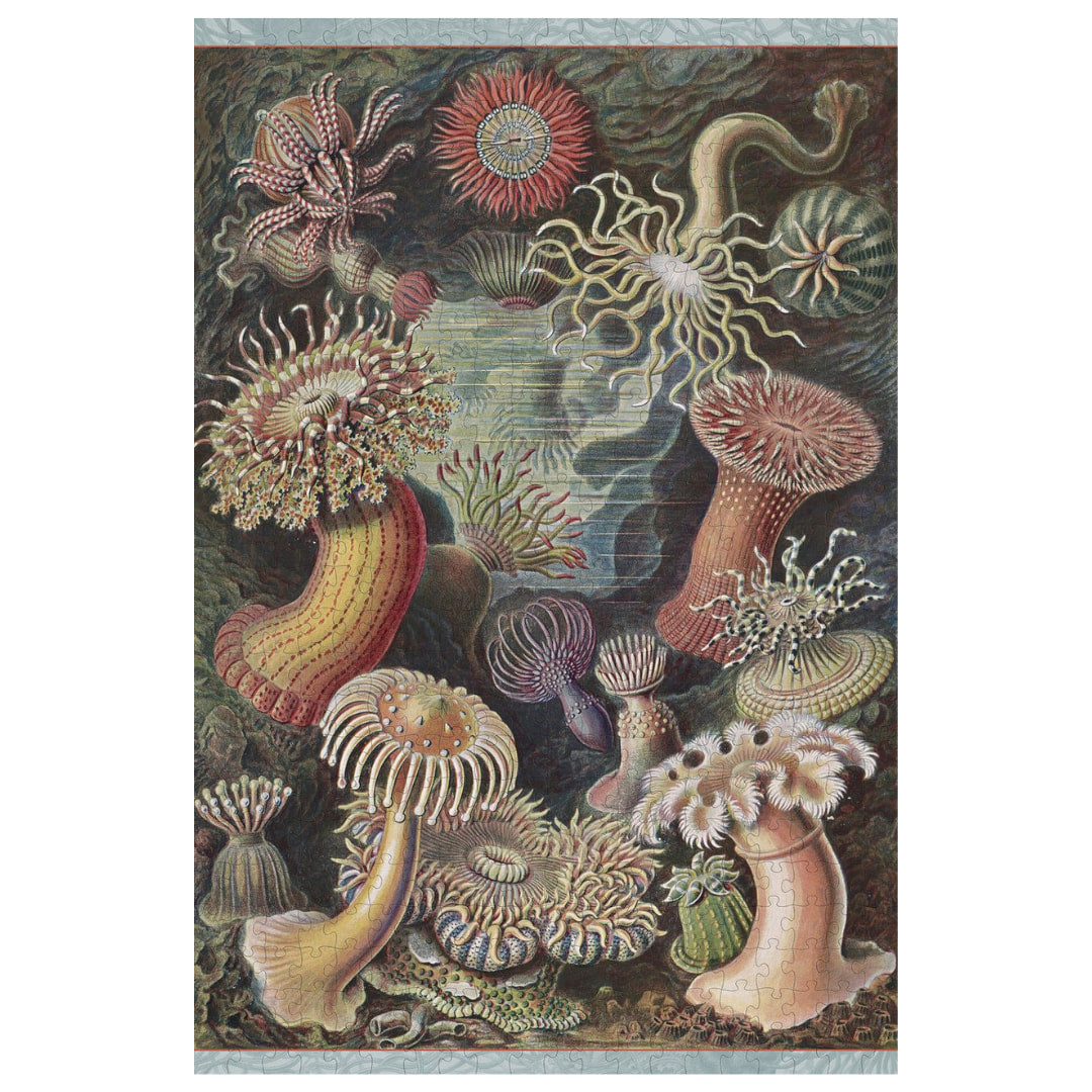 Pomegranate - Sea Anemones by Ernst Haeckel - The Puzzle Nerds