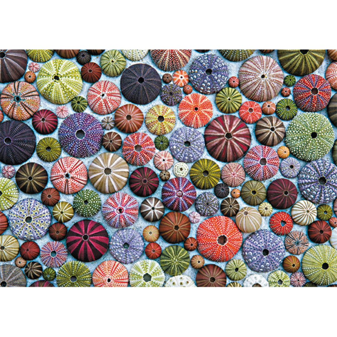 Sea urchins Piatnik 1000 pieces