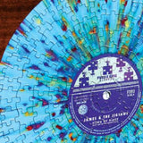 Vinyl 244 Piece Puzzle - The Puzzle Nerds