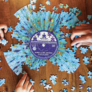 Vinyl 244 Piece Puzzle - The Puzzle Nerds