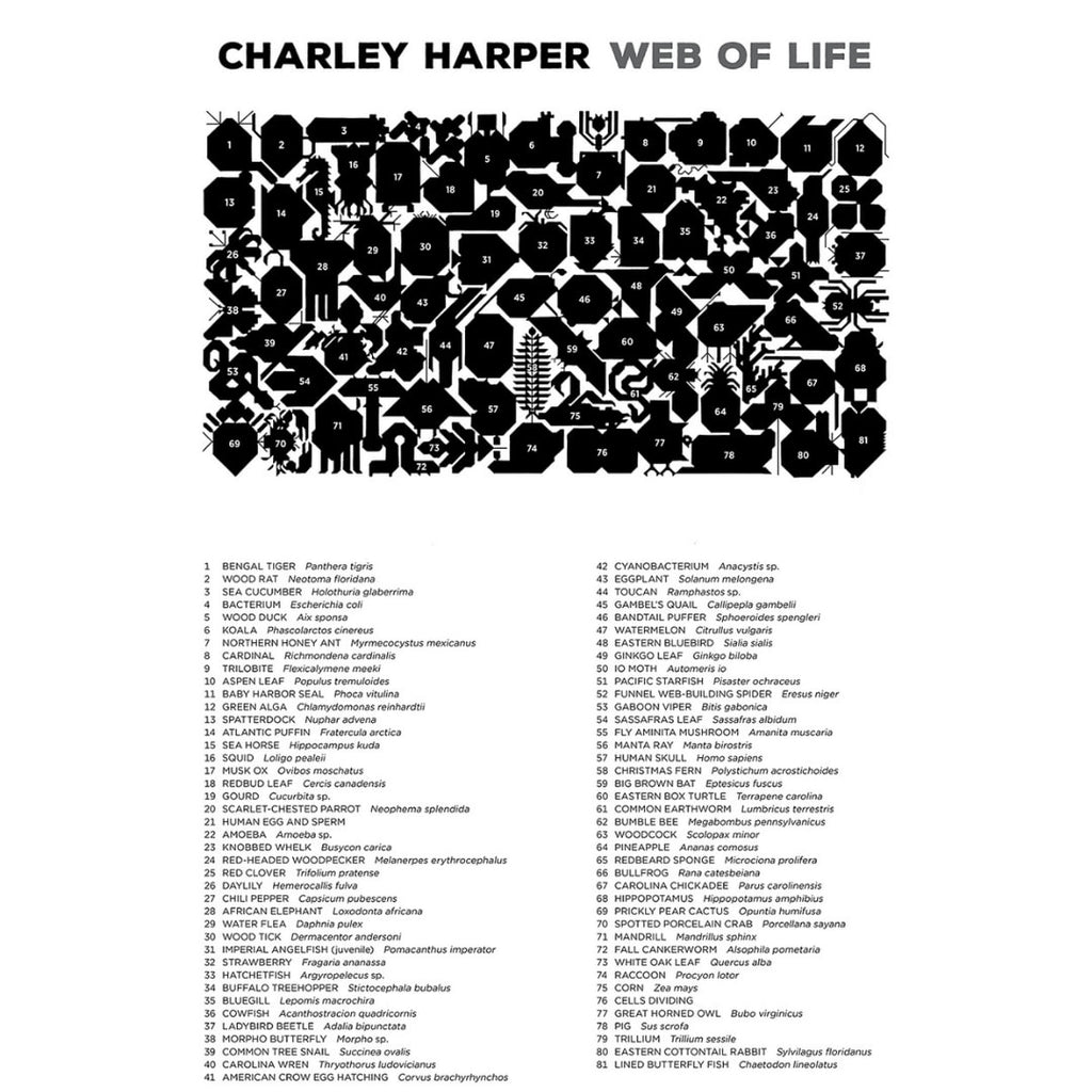Web Of Life by Charley Harper 2000 Piece Puzzle - The Puzzle Nerds